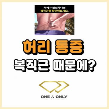 허리 통증, 복직근 때문일 수 있어요. (MAT 테스트 후기) 대표 이미지